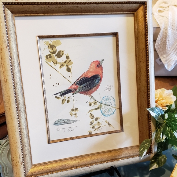 Bird picture. - Picture 9 of 9